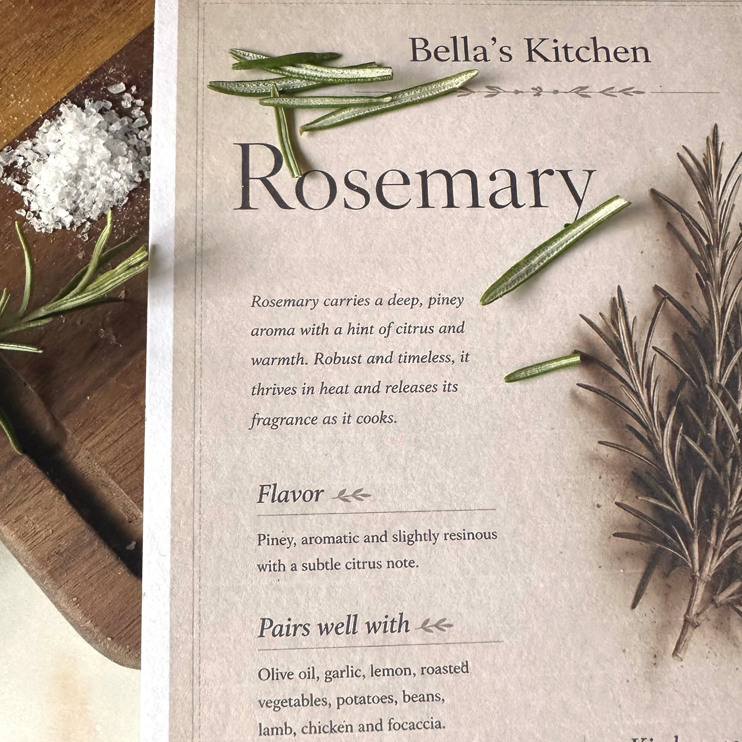 Rosemary - Herbal Collection Card A5 | Italian Pasta Recipe – Bella's Kitchen
