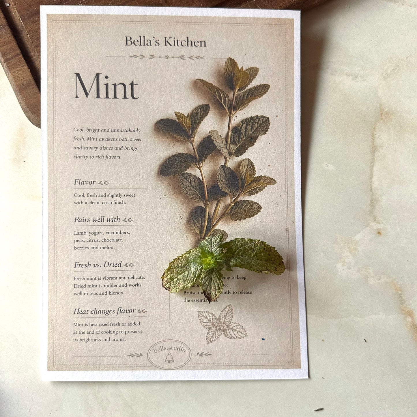 Mint - Herbal Collection Card A5 | Italian Pasta Recipe – Bella's Kitchen