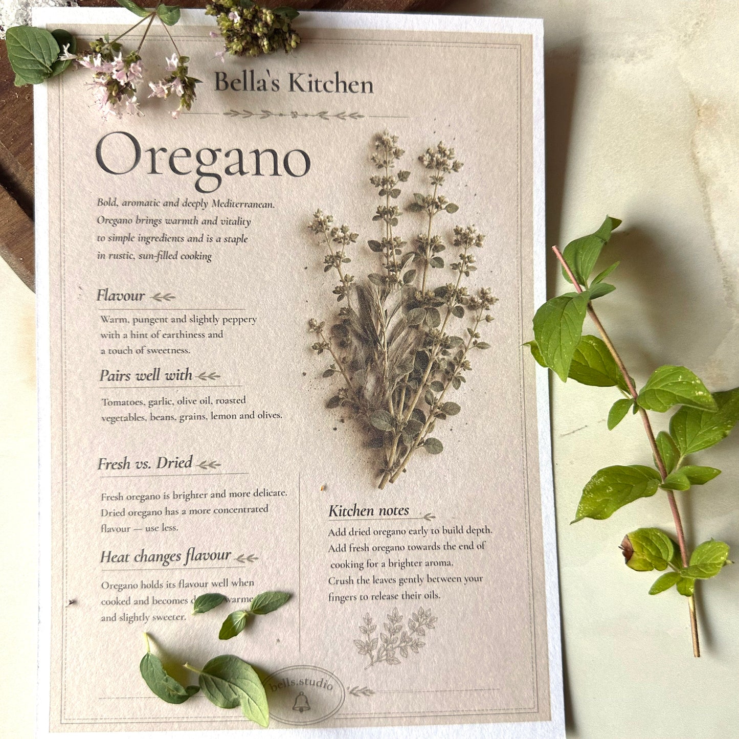 Oregano - Herbal Collection Card A5 | Italian Pasta Recipe – Bella's Kitchen