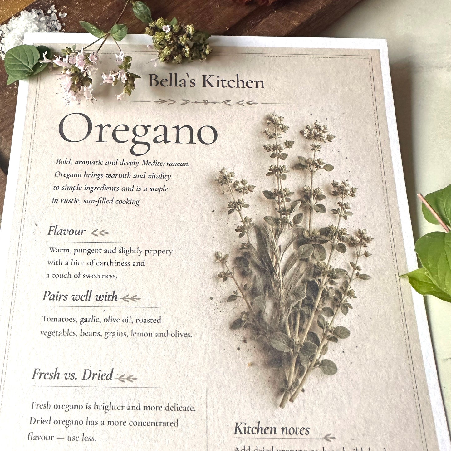Oregano - Herbal Collection Card A5 | Italian Pasta Recipe – Bella's Kitchen
