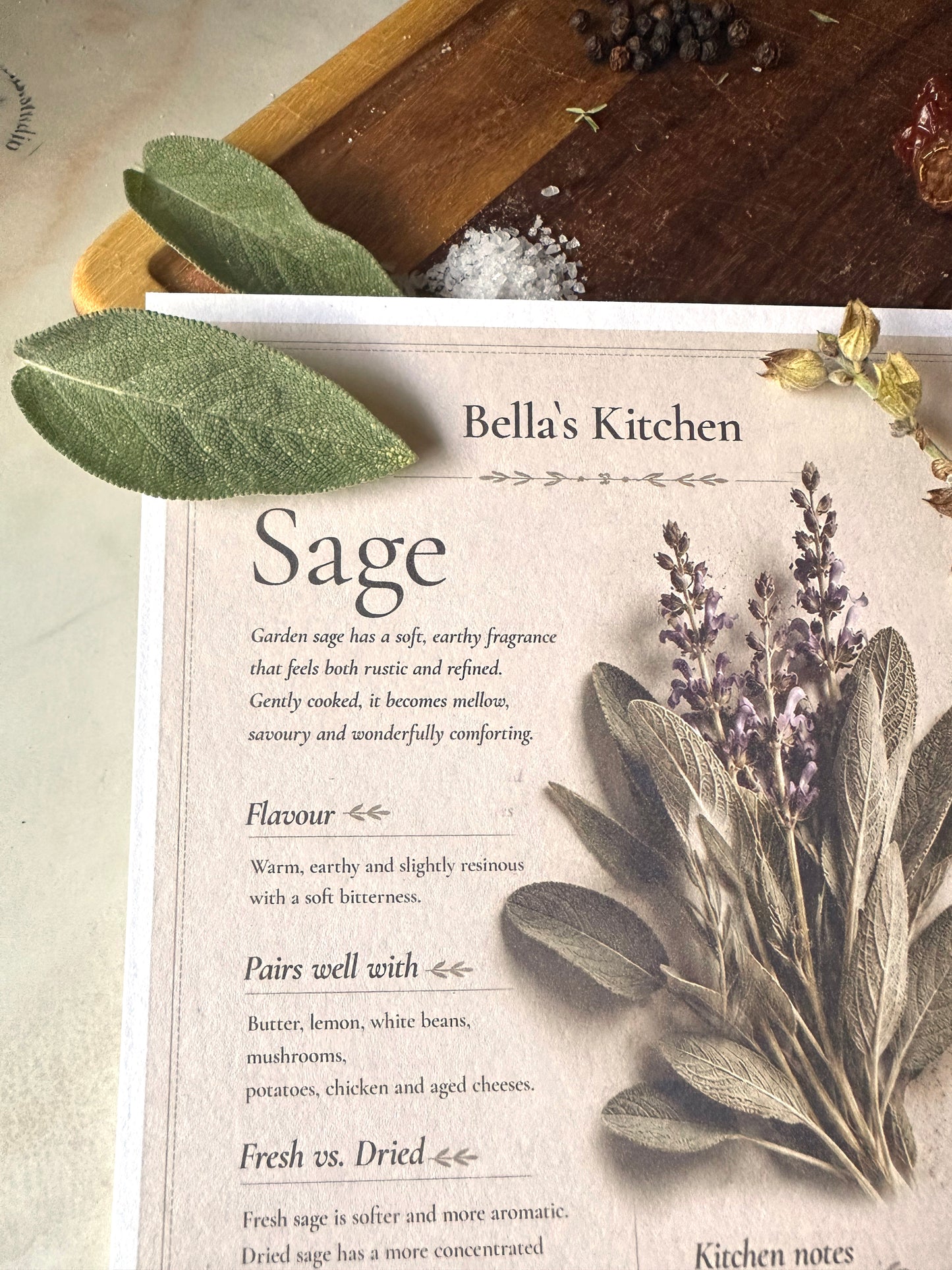 Sage - Herbal Collection Card A5 | Italian Pasta Recipe – Bella's Kitchen