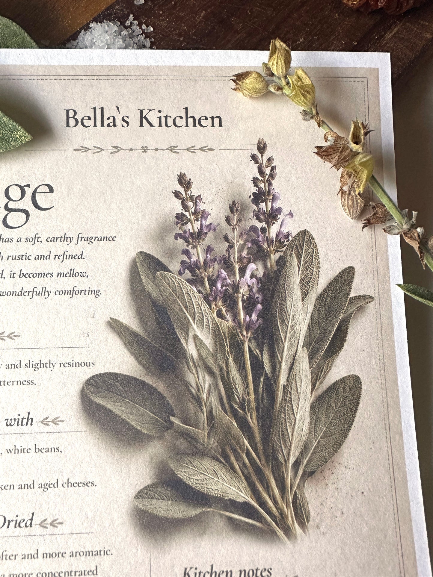 Sage - Herbal Collection Card A5 | Italian Pasta Recipe – Bella's Kitchen